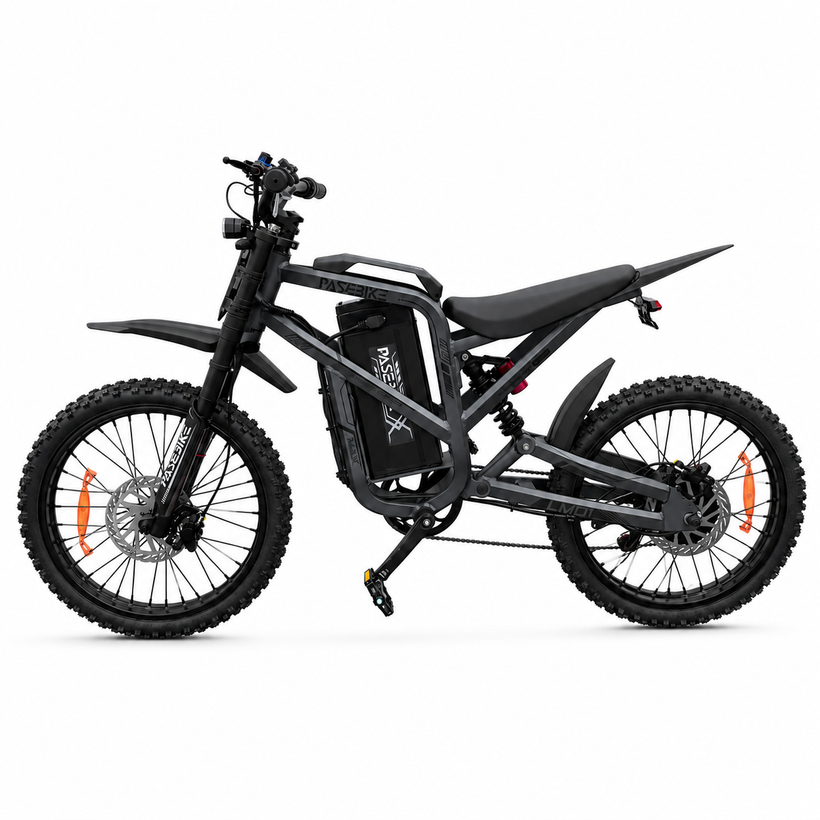 PASEBIKE LM01 Dirt-Style Electric Bike