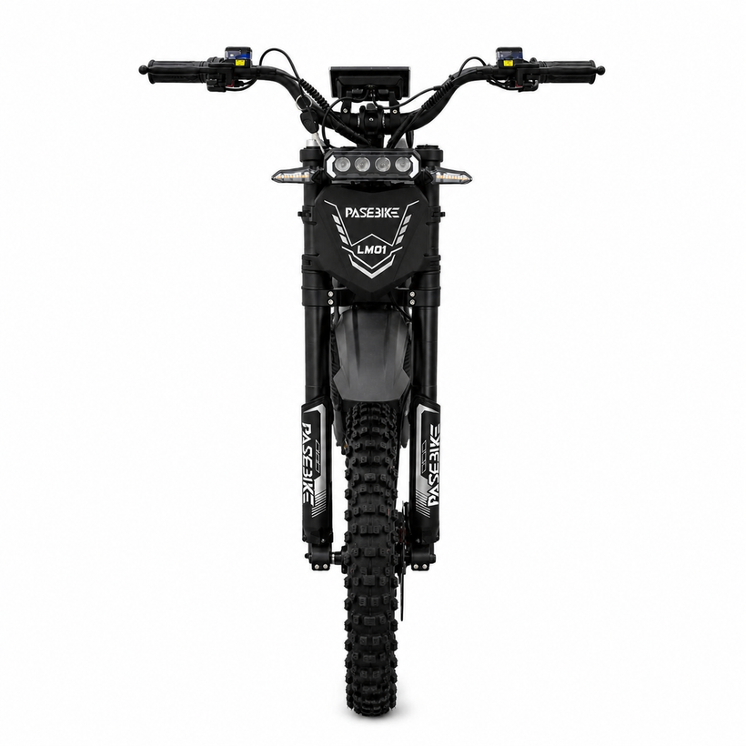 PASEBIKE LM01 Dirt-Style Electric Bike