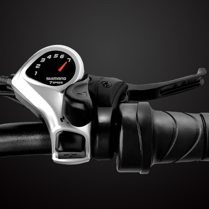 P20 Pro Folding Electric Bicycle – PASEBIKE