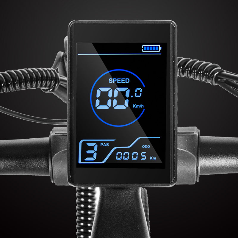 P20 Pro Folding Electric Bicycle – PASEBIKE